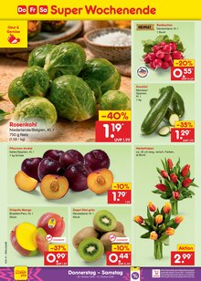 Tulpen im aktuellen Netto Marken-Discount Prospekt (Bremerhaven) Tulpen im Netto Marken-Discount Prospekt "Aktuelle Angebote" mit 70 Seiten (Bremerhaven)