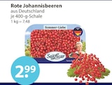 Rote Johannisbeeren von SanLucar im aktuellen V-Markt Prospekt für 2,99 €