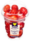 Marktkauf Behrenhoff - Snackster Rote Mini Pflaumen-Tomaten Angebot im Prospekt Snackster Rote Mini Pflaumen-Tomaten bei Marktkauf im Behrenhoff Prospekt für 1,49 €