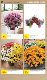 Promos Chrysanthèmes dans le catalogue "-60% DE REMISE IMMÉDIATE SUR LE 2ÈME" de Intermarché Contact Chrysanthèmes en promo dans le catalogue Intermarché Contact à la page 10