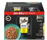 20% im Lidl Prospekt 20% von Sheba im aktuellen Lidl Prospekt fĂĽr