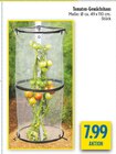 Aktuelle Gartenhaus Angebote bei diska in Dresden Aktuelles Tomaten-Gewächshaus Angebot bei diska in Dresden ab 7,99 €