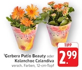 EDEKA Rastatt Prospekt mit  im Angebot für 2,99 €