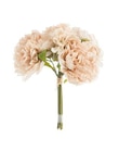 NATURALYS-Fleur artificielle en papier bouquet de pivoine coloris beige - H 30 cm en promo chez Botanic NATURALYS-Fleur artificielle en papier bouquet de pivoine coloris beige - H 30 cm dans le catalogue Botanic