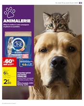 Purina One Angebote im Prospekt "FÊTE DES ÉCOLES" von Carrefour Purina One Angebote im Prospekt "FÊTE DES ÉCOLES" von Carrefour auf Seite 55