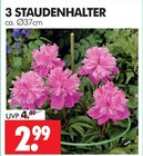 Staudenhalter im Angebot bei Wreesmann in Görlitz Staudenhalter Angebote bei Wreesmann Görlitz für 2,99 €