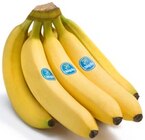 10 fach °Punkte von Payback bei REWE im Angebot 10 fach °Punkte von Payback im aktuellen REWE Prospekt