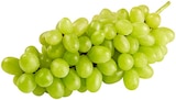 REWE Butzbach - Helle Tafeltrauben Angebot im Prospekt Helle Tafeltrauben bei REWE im Butzbach Prospekt für 0,99 €