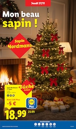 Prix et réduction Sapin Nordmann dans le prospectus Lidl en cours Offre Sapin Nordmann dans le catalogue Lidl du moment à la page 40