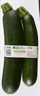 Bio Zucchini Angebote von REWE Bio bei REWE Bensheim für 1,29 €