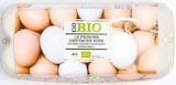Bio Eier im Angebot bei Netto mit dem Scottie in Chemnitz Bio Eier Angebote von GO BIO bei Netto mit dem Scottie Chemnitz für 2,99 €