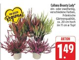 Calluna Beauty Lady im Angebot bei EDEKA in Erlangen Calluna Beauty Lady Angebote bei EDEKA Erlangen für 1,49 €