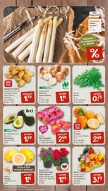 Aktueller nahkauf Prospekt mit Spargel, "nichts liegt näher", Seite 3