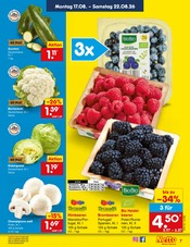 Pilze im Netto Marken-Discount Prospekt in Neuss Aktueller Netto Marken-Discount Prospekt mit Pilze, "Aktuelle Angebote", Seite 9
