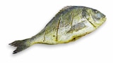 Aktuelle Fisch Angebote bei E center in Offenbach (Main) Aktuelles Dorade Angebot bei E center in Offenbach (Main) ab 2,49 €