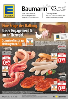Aktueller EDEKA Prospekt "Aktuelle Angebote" für Kerpen (Kolpingstadt) Aktueller EDEKA Prospekt für Kerpen (Kolpingstadt) mit Seiten