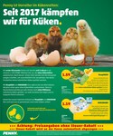 Eier Eier