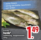 Frische Forelle im Angebot bei EDEKA in Passau Frische Forelle Angebote bei EDEKA Passau für 1,49 €