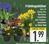 Frühlingsblüher im EDEKA Prospekt Frühlingsblüher im aktuellen EDEKA Prospekt für 1,99 €