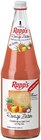 Saft im Angebot bei REWE in Gießen Saft Angebote von Rapp's bei REWE Gießen für 1,79 €