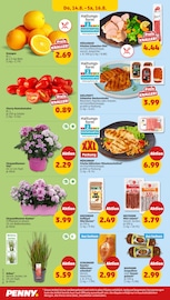 Aktueller Penny Prospekt mit Schweinefilet, "Wer günstig will, muss Penny.", Seite 28