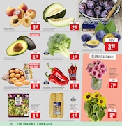 Aktueller Marktkauf Prospekt mit Kartoffeln, "Aktuelle Angebote", Seite 5