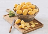Pomme de terre nouvelle récolte - Super U à Joué-lès-Tours Pomme de terre nouvelle récolte en promo chez Super U Joué-lès-Tours à 2,99 €
