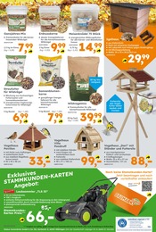 Ähnliche Angebote wie Vogelfutterhaus im Prospekt "Immer eine Idee besser" auf Seite 20 von Globus-Baumarkt in Herford