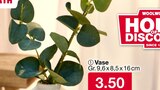 Vase Angebote bei Woolworth Nettetal für 3,50 €