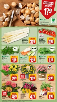 Spargel im REWE Prospekt "Dein Markt" mit 22 Seiten (Neuss)