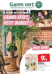 Promos Bricolage dans le catalogue "GRAND EFFET, PETIT BUDGET !" de Gamm vert Bricolage en promo dans le catalogue Gamm vert à la page 1
