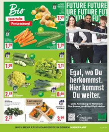 Blumenkohl im aktuellen Marktkauf Prospekt (Wuppertal) Blumenkohl im Marktkauf Prospekt "Aktuelle Angebote" mit 26 Seiten (Wuppertal)