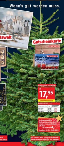 Nordmanntannen bei BAUHAUS in Unna Nordmanntannen im Angebot bei BAUHAUS Unna
