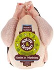 REWE Bünde - Frische Freiland-Hähnchen Angebot im Prospekt Frische Freiland-Hähnchen bei REWE im Bünde Prospekt für 9,99 €