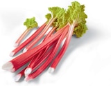 Aktuelles Rhabarber Angebot bei Netto Marken-Discount in Bielefeld ab 2,22 €
