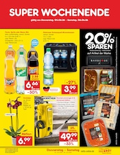 Fanta im Netto Marken-Discount Prospekt in Rostock Aktueller Netto Marken-Discount Prospekt mit Fanta, "Aktuelle Angebote", Seite 45