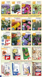 Rasenerde Angebot im aktuellen CENTERSHOP Prospekt auf Seite 2