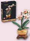 Blumen im Angebot bei famila Nordwest in Lingen Blumen Angebote von LEGO bei famila Nordwest Lingen für 23,99 €