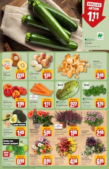 Pilze im REWE Prospekt "Dein Markt" mit 34 Seiten (Düsseldorf)