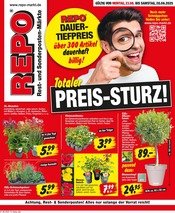 Repo Sonderposten Prospekt der aktuellen Woche mit 12 Seiten, gültig von 23.06.2025 bis 28.06.2025, in Neubrandenburg und Umgebung Aktueller Repo Sonderposten Prospekt in Neubrandenburg und Umgebung, "Aktuelle Angebote" mit 12 Seiten, 23.06.2025 - 28.06.2025