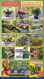 Aktueller CENTERSHOP Prospekt mit Lebensmittel, "Da geht was.", Seite 3