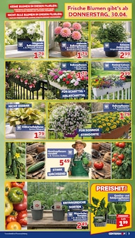 Blumentopf im CENTERSHOP Prospekt "Da geht was." mit 20 Seiten (Bergisch Gladbach)