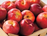 Nectarine à Netto dans Moulin-Mage