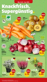 Pflanzen im Penny Prospekt in Straubing Aktueller Penny Prospekt mit Pflanzen, "Wer günstig will, muss Penny.", Seite 2