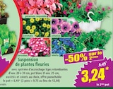 Suspension de plantes fleuries en promo chez Norma Nancy à 3,24 €
