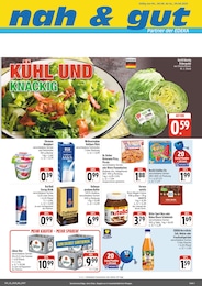 nah und gut Prospekt für Gröditz: "Wir lieben Lebensmittel!", 4 Seiten, 04.08.2025 - 09.08.2025
