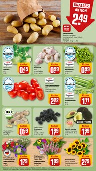 Blumen im REWE Prospekt "Dein Markt" mit 14 Seiten (Nürnberg)