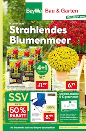 Aktueller BayWa Bau- und Gartenmärkte Baumärkte Prospekt in Offingen und Umgebung, "Hier bin ich gern" mit 12 Seiten, 04.08.2025 - 09.08.2025