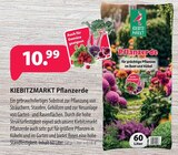 Aktuelle Gartenerde Angebote bei Kiebitzmarkt in Hamburg Aktuelles Pflanzerde Angebot bei Kiebitzmarkt in Hamburg ab 10,99 €