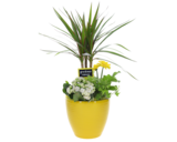 Composition tendresse en promo chez Lidl Nanterre à 16,99 €